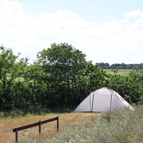 Basic tent kampeerplaats 60m2